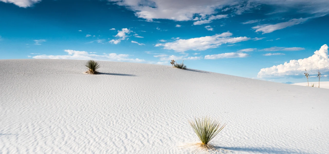 Eine weiße Sanddüne im White-Sands-Nationalpark im US-Bundesstaat New Mexico