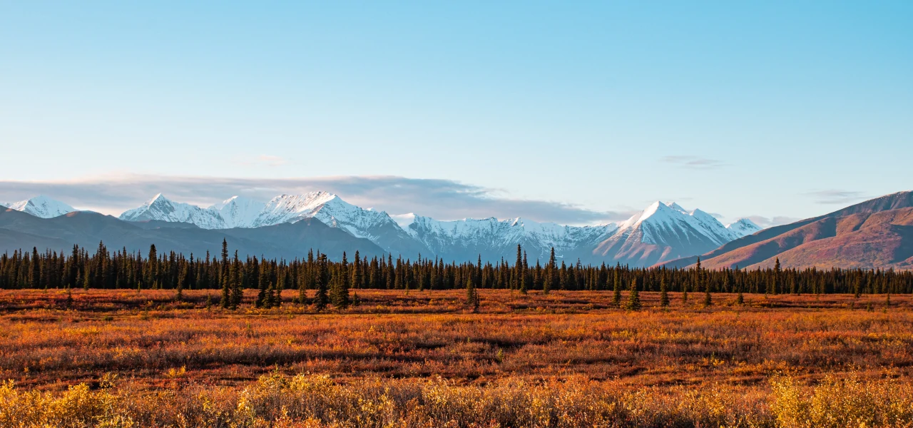 Unendliche Landschaften im US-Bundesstaat Alaska