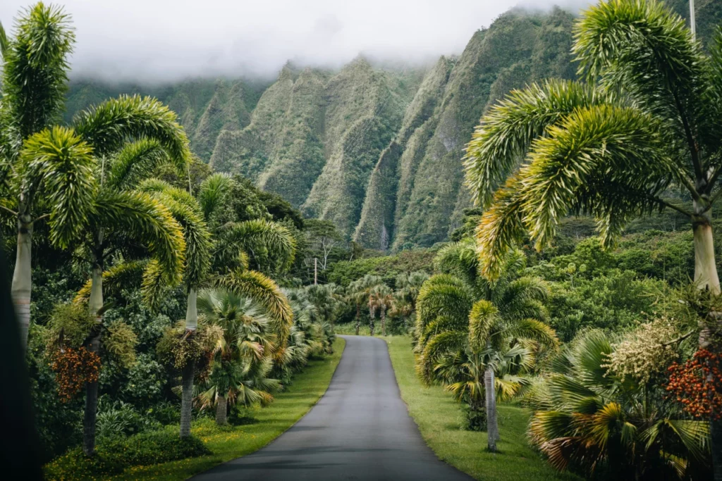 Hawaii beste Reisezeit