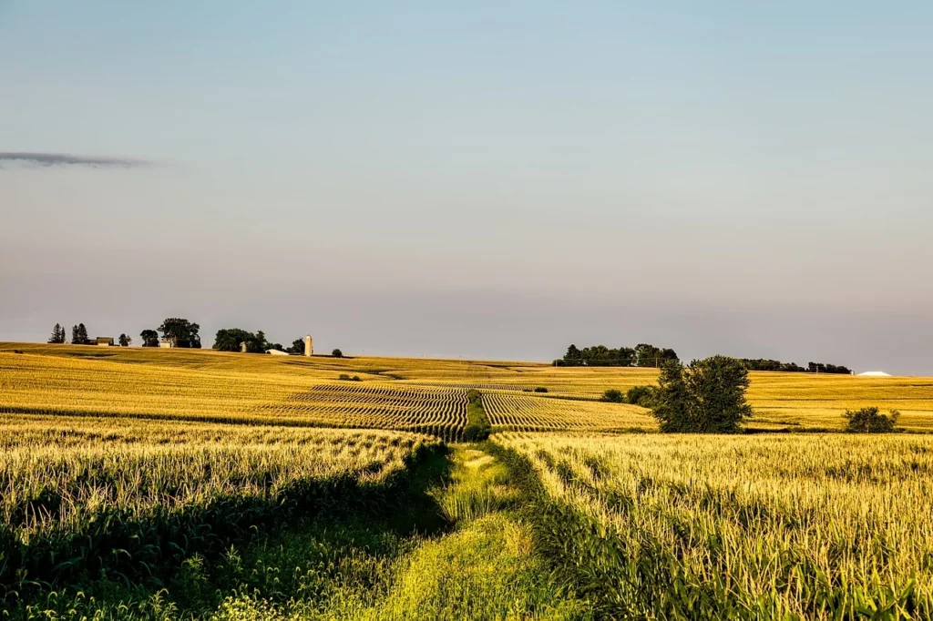 Eine Landschaft in Iowa