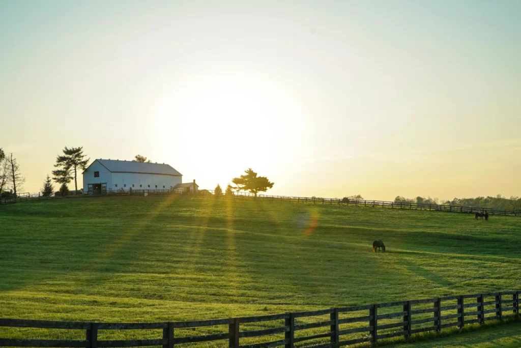 Die Natur in Kentucky